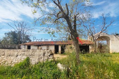 Landejendom i Carovigno, Brindisi, Carovigno - € 3.500.000 | Ref: 122559 - foto 8